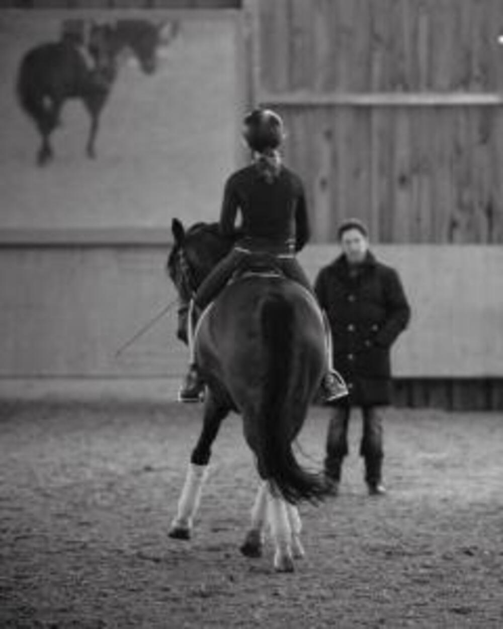 Dressurlehrgang mit Michael Fassbender am 28+29.03.2026