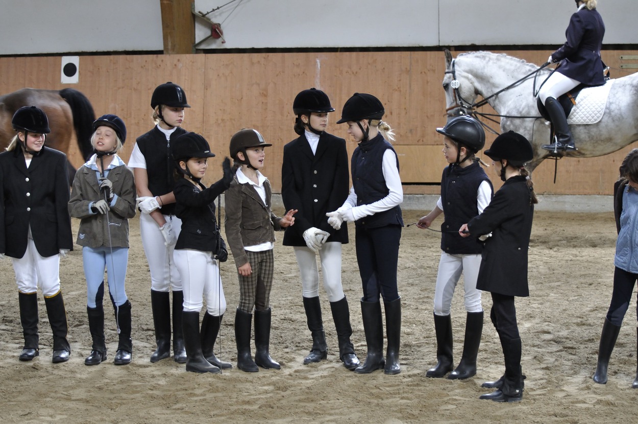 Ferienkurs zur Erlangung der Reitabzeichen 10 und 9 am 20-23.07.2026